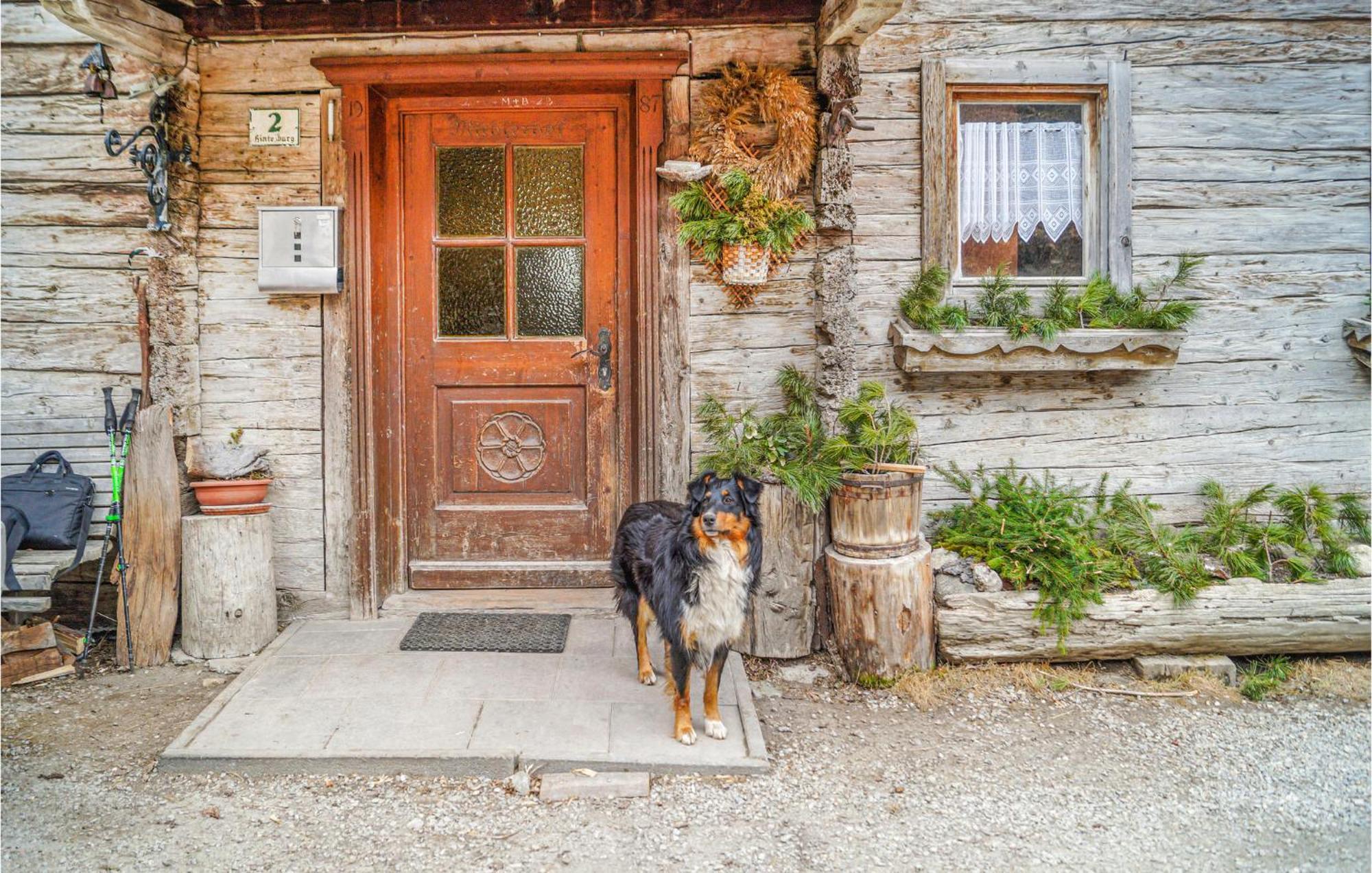 1 Bedroom Cozy Apartment In Hinterburg エクステリア 写真